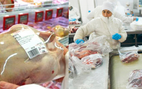 Desafíos y oportunidades para una producción avícola y porcina más competitiva