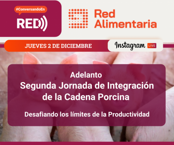 Instagram Live: Adelanto Segunda Jornada Porcina: 