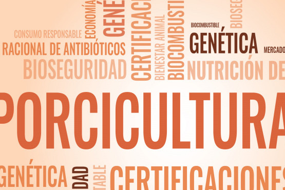 Red Alimentaria y Animal Nutrition Specialties invitan a la II Jornada Porcina 