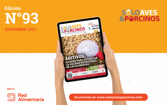  Aditivos, Aliados para Potenciar la Calidad Nutricional de los Alimentos 