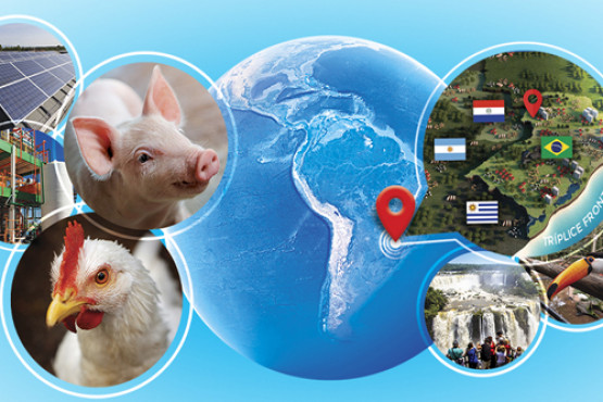 AveSui llega en abril con una propuesta holística para las áreas avícola y porcina