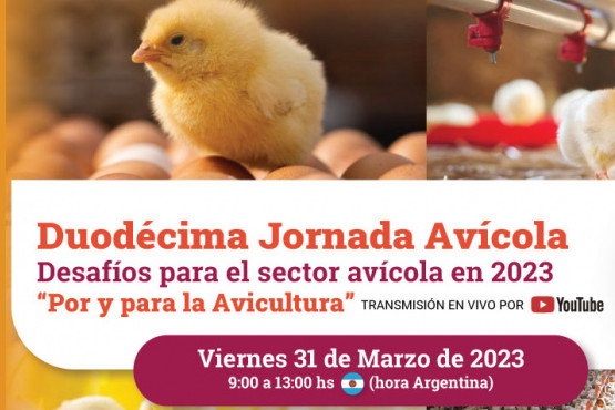 Conozca el programa de Duodécima Jornada Avícola “Desafíos para el sector avícola en 2023”
