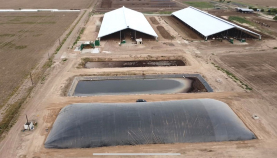 Biodigestores, cómo transformar los efluentes porcinos en recursos rentables 