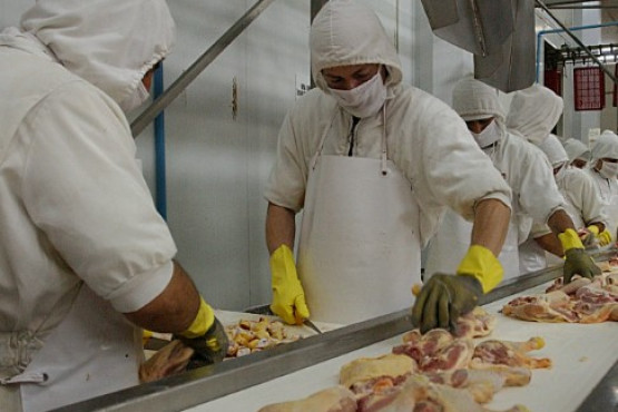 La Unión Europea concluyó la auditoría a los sistemas de control de carne aviar de Argentina