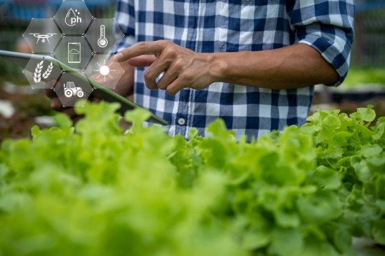 La Asoc. Red Agroalimentaria integra la mesa Público-Privada que organizará la V Jornada Alimentos