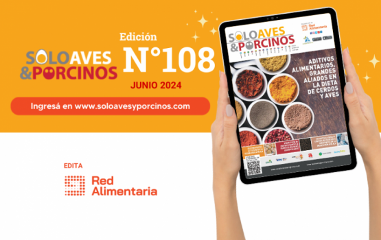 Aditivos alimentarios, grandes aliados en la dieta de cerdos y aves.