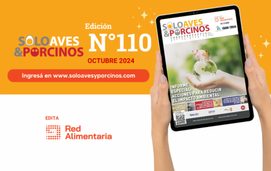 Informe especial: Acciones para reducir el impacto ambiental