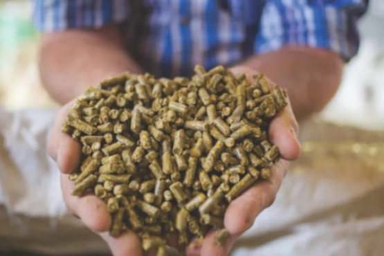 Alltech presentó los datos de su encuesta global sobre la producción de alimento balanceado