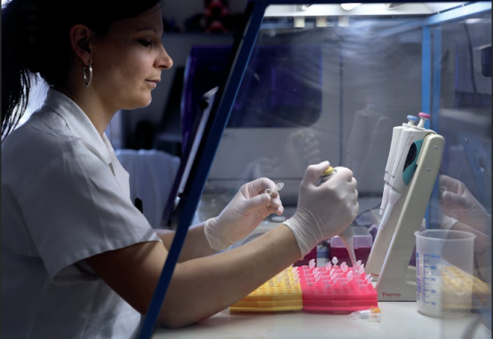 Servicios Veterinarios: Clave para maximizar ganancias y garantizar la salud animal