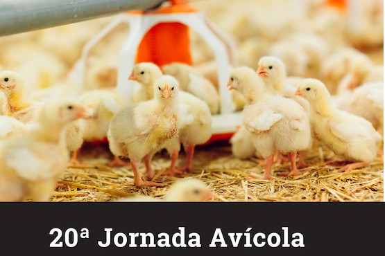 La Vigésima Jornada Avícola reunirá al sector con un programa de charlas innovador