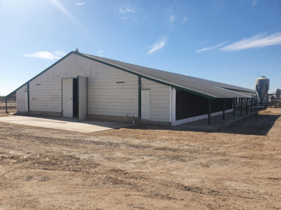 Aviagen Argentina: “El objetivo es seguir creciendo y satisfacer el mercado local”