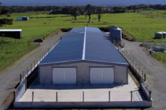 Aviagen presentó su Informe de Sostenibilidad 2024