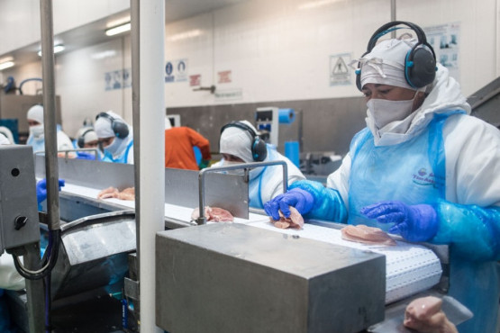 Reabren el mercado de carne aviar con destino a la Unión Europea