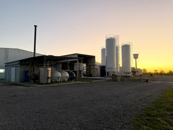  Innovación con sello argentino: aditivos naturales desarrollados en Santa Fe para el mundo