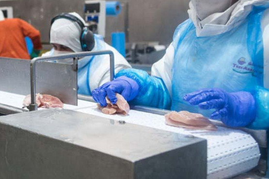 Reabren el mercado de carne aviar con destino a la Unión Europea