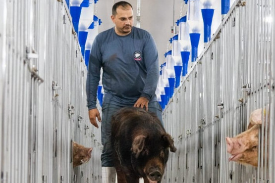 Topigs Norsvin inaugura central de inseminación porcina en Paraguay