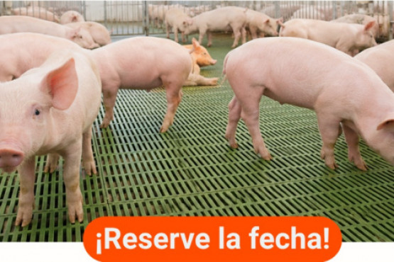 La 13ª Jornada de Integración de la Cadena Porcina debatirá los desafíos de exportación del sector