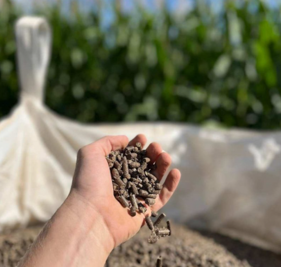  Gestión de residuos en la producción avícola y porcina: de pasivo ambiental a activo estratégico