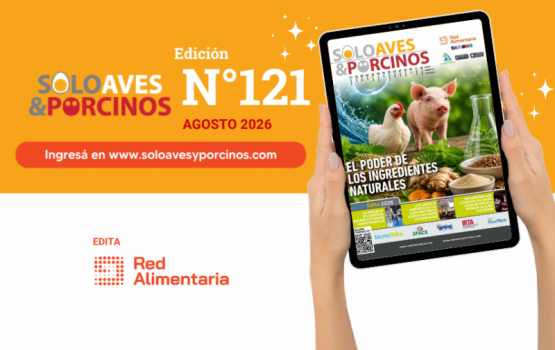 El poder de los ingredientes naturales 