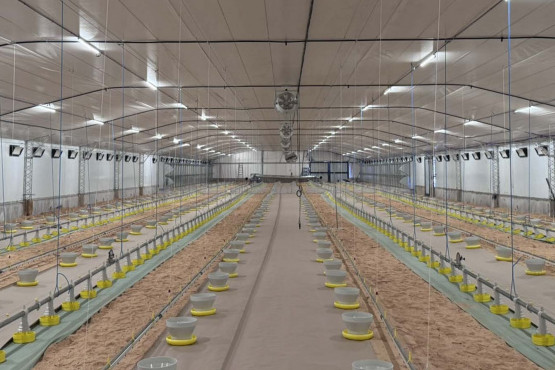 Avige analizó los avances en producción inteligente y presentó nuevas soluciones para sanidad animal