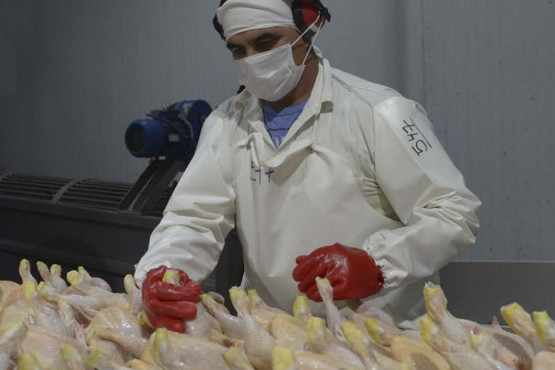  El gobierno logró la reapertura del mercado de la UE y el Reino Unido para exportar carne fresca aviar